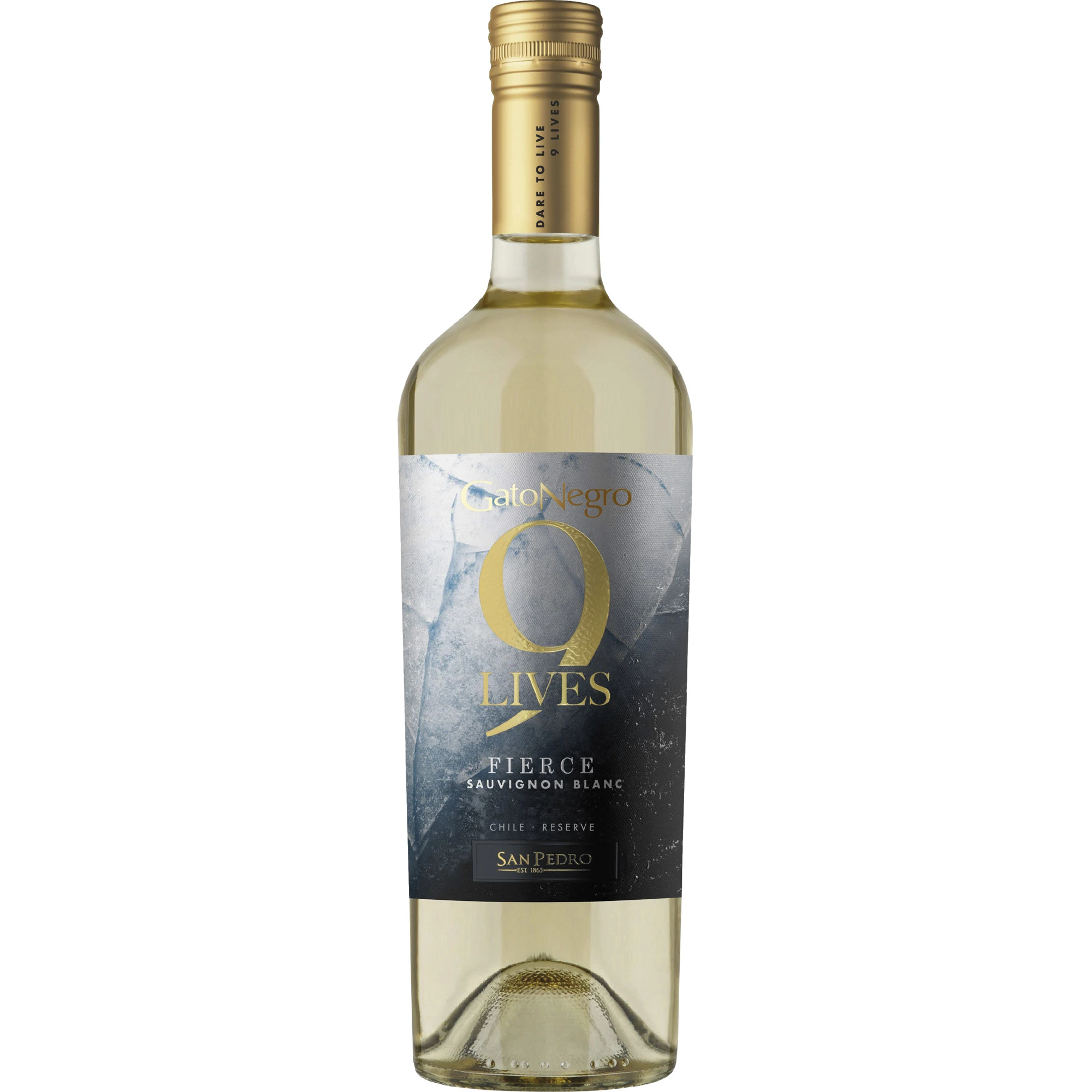 Vinho Gato Negro 9 Lives Saugnon Blanc 750 ml